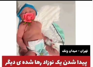 جزئیات پیدا شدن یک جنین و نوزاد دیگر در خیابان ونک