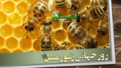 روز جهانی زنبورعسل جمعه، ۳۰ اردیبهشت