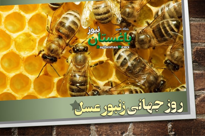 روز جهانی زنبورعسل جمعه، ۳۰ اردیبهشت