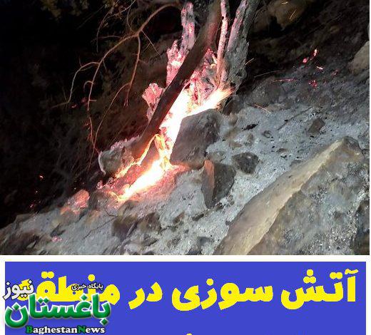 علت آتش سوزی در منطقه حفاظت شده خائیز در استان کهگیلویه و بویراحمد چیست؟2
