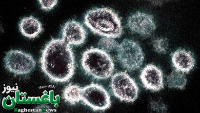 سویه جدید XBB ویروس کرونا که در عربستان سعودی کشف شد چیست؟ + علائم