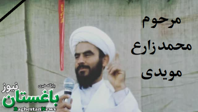 محمد زارع مویدی طلبه ای که در یکی از مساجد شهرک گلستان شیراز شهید شد کیست؟