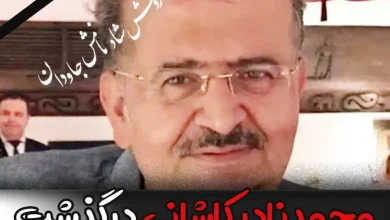 علت فوت محمد نادر کاشانی تهیه کننده تلویزیون چه بود؟ + بیوگرافی
