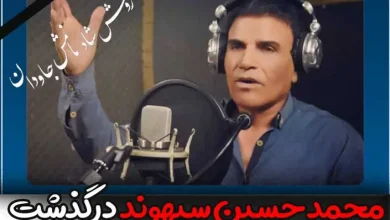 علت فوت محمد حسین سپهوند خواننده لرستانی چه بود؟ + بیوگرافی