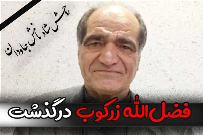 علت فوت و درگذشت فضل الله زرکوب شاعر افغانستانی چیست؟