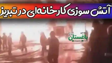 لحظه آتش سوزی کارخانه ای در شهرک صنعتی سلیمی تبریز + فیلم