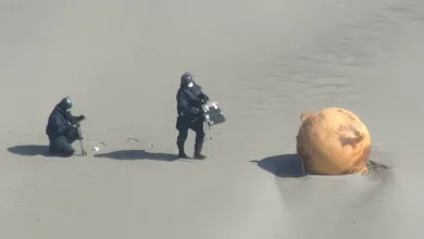 ماجرای پیدا شدن یک کره تخم دایناسور در ساحل شیزوئوکا ژاپن