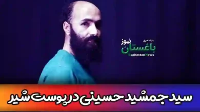 سید جمشید حسینی در پوست شیر کیست؟ + بیوگرافی