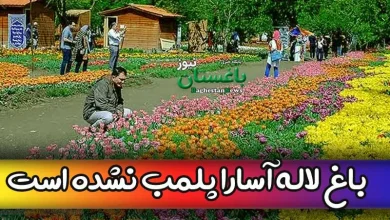 آیا پلمب شدن باغ گل لاله آسارا در استان البرز صحت دارد؟