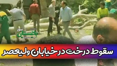 فیلم حادثه سقوط یک درخت در خیابان ولیعصر تهران امروز