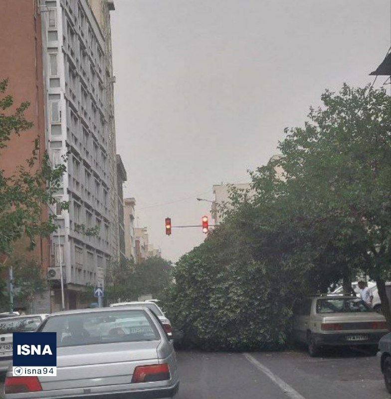  سقوط درخت بر اثر طوفان، ساعتی قبل در خیابان دانشگاه تهران