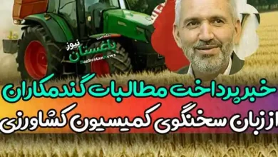 خبر جدید درباره پرداخت مطالبات گندمکاران از زبان سخنگوی کمیسیون کشاورزی مجلس