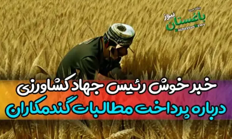 خبر خوش رئیس سازمان جهاد کشاورزی درباره پرداخت مطالبات گندمکاران