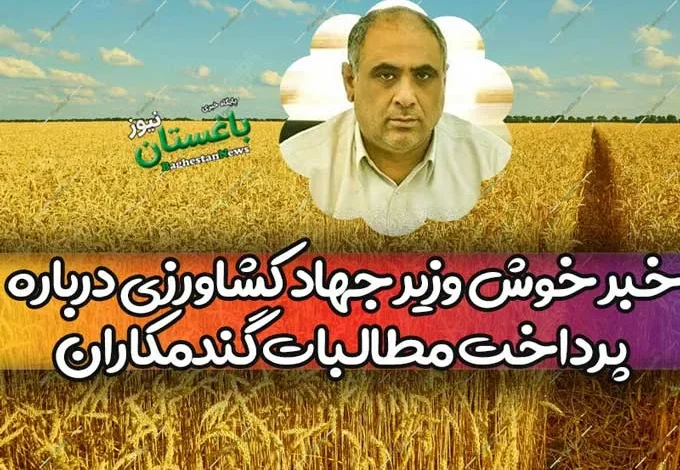 خبر خوش وزیر جهاد کشاورزی درباره پرداخت مطالبات گندمکاران تا پایان مرداد ۱۴۰۲
