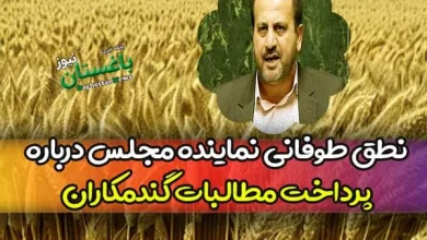 نطق طوفانی نماینده مجلس درباره پرداخت مطالبات گندمکاران و واردات برنج
