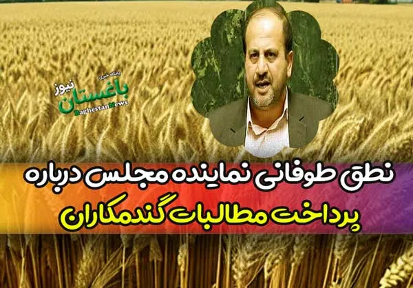 نطق طوفانی نماینده مجلس درباره پرداخت مطالبات گندمکاران و واردات برنج