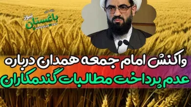 واکنش امام جمعه همدان درباره عدم پرداخت مطالبات گندمکاران