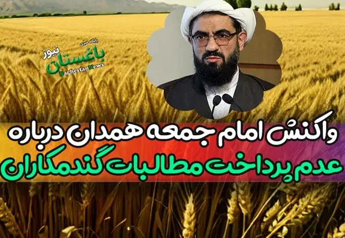 واکنش امام جمعه همدان درباره عدم پرداخت مطالبات گندمکاران