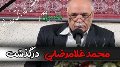علت فوت محمد غلامرضایی استاد دانشگاه چه بود؟