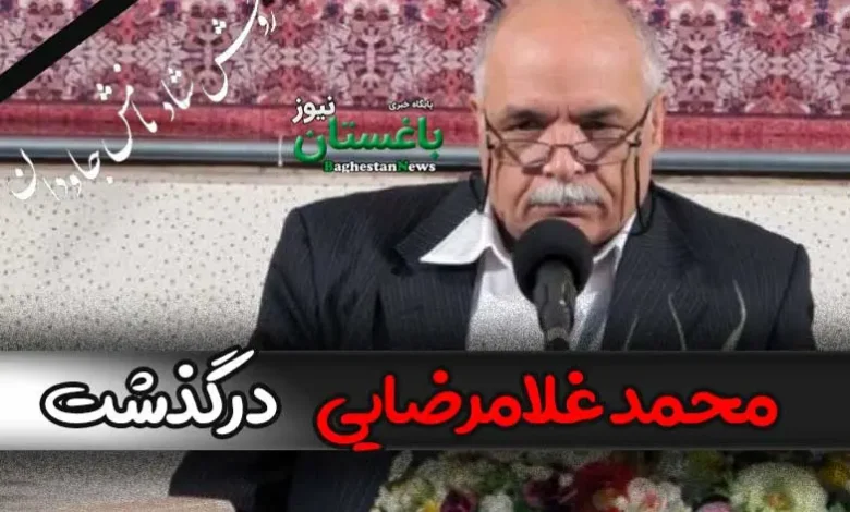 علت فوت محمد غلامرضایی استاد دانشگاه چه بود؟