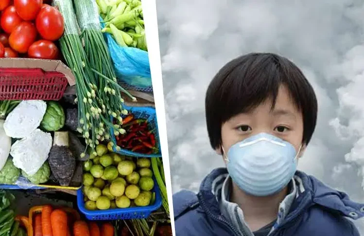 سایر مواد غذایی مفید در زمان آلودگی‌هوا