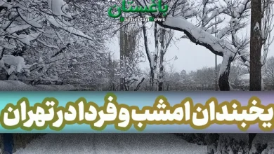 یخبندان امشب و فردا در تهران