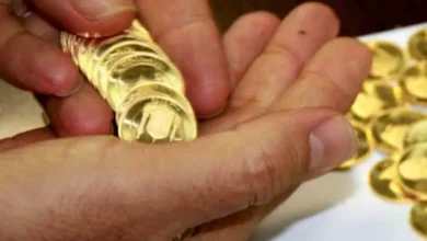 جدول قیمت سکه و طلا امروز دوشنبه 20 آذر ۱۴۰۲