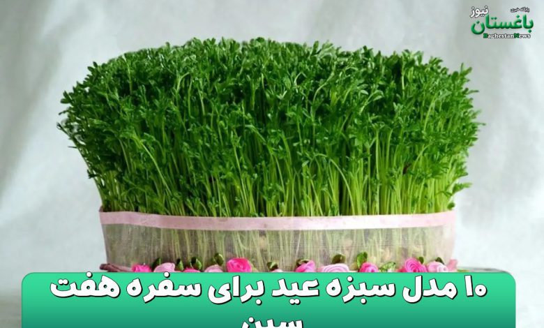 10 مدل سبزه عید برای سفره هفت سین
