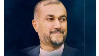 علت فوت شهید حسین امیرعبداللهیان وزیر امورخارجه