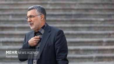 ظفرقندی: افرادی که جزو گروه‌های پرخطر هستند، واکسن آنفلوآنزا بزنند - خبرگزاری مهر | اخبار ایران و جهان