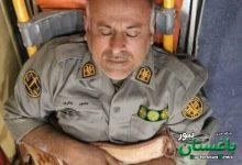 جنایت علیه محیطبان لامردی