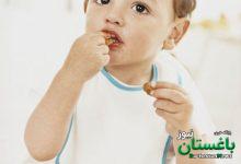 طرح کالابرگ «رفع سوءتغذیه کودکان» چطور اجرا می‌شود؟