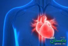 چطور از قلب در خانه مراقبت کنیم؟