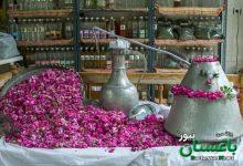 گلاب اصل ؛ راهنمای تشخیص گلاب خالص کاشان و میمند