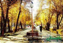 خیابان «چهارباغ» اصفهان در دوران قاجار؛ سال ۱۲۸۰ + عکس