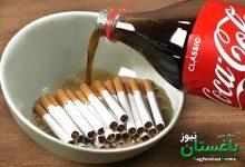 آموزش ساخت محلول دفع حشرات با کوکاکولا و سیگار