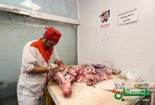 توزیع گوشت دولتی منجمد در میادین میوه و تره بار