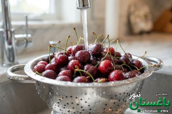 طرز تهیه شربت آلبالو با هسته تصویری | چرا رنگ شربت آلبالو تیره شده؟ + راه جلوگیری از شکرک زدن