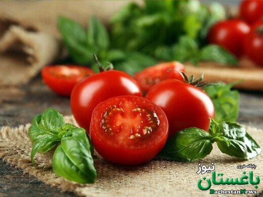 خوردن گوجه فرنگی برای این افراد ضرر دارد؛ ۵ عارضه و نکته مهم که حتماً بدانید