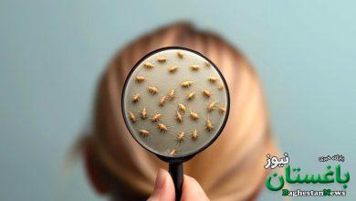 آرایشگر زن در حال گرفتن شپش سر یک زن جوان در دوره قاجار + عکس