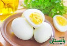 اگر هر روز تخم‌مرغ می‌خورید، این مطلب را حتما بخوانید