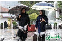 باران - هواشناسی