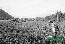 محله «فرمانیه» تهران؛ حدود ۹۰ سال قبل + عکس
