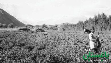 محله «فرمانیه» تهران؛ حدود ۹۰ سال قبل + عکس