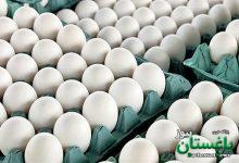 تخم مرغ