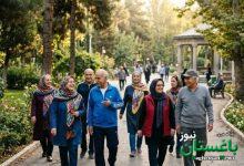 دورهمی پولی