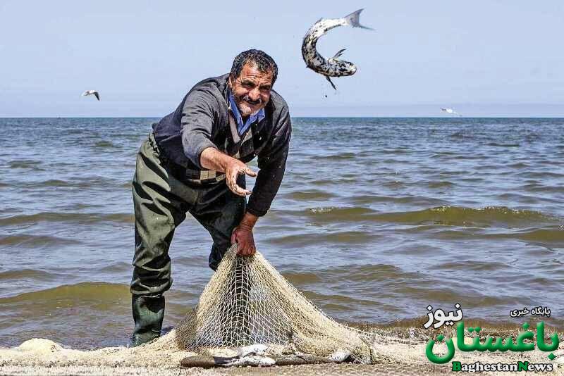 خزر هر سال پایین تر می رود | پنج کشور چه برنامه ای برای نجات آن دارند؟