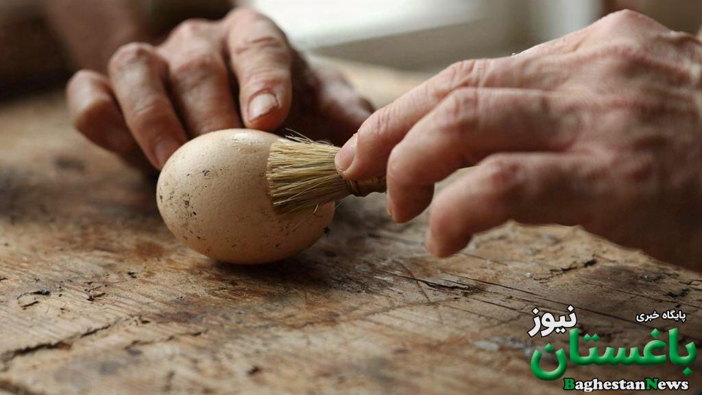 بهترین روش نگهداری طولانی مدت تخم مرغ؛ حتی تا ۲ سال بدون یخچال!