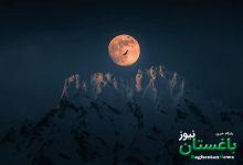 پرنده