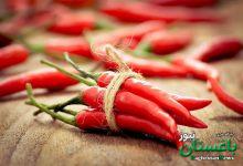 Chili red pepper - فلفل قرمز - چیلی